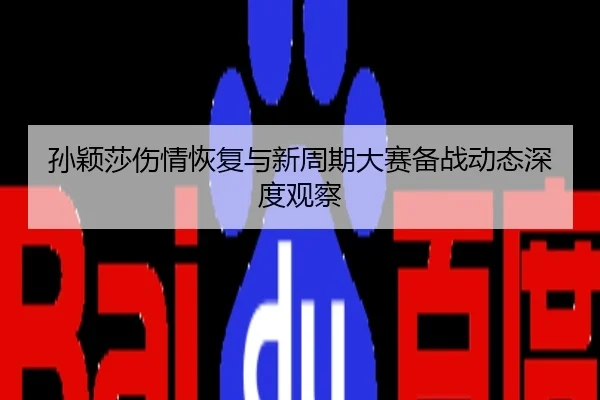 孙颖莎伤情恢复与新周期大赛备战动态深度观察